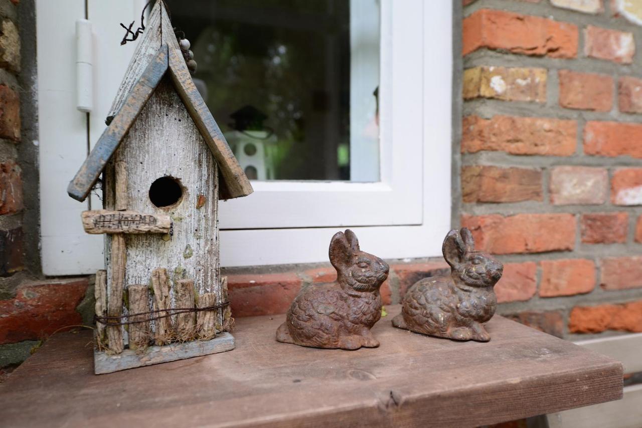 Hus In'T Dorp Apartment Oevenum Bagian luar foto